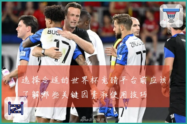 选择合适的世界杯竞猜平台前应该了解哪些关键因素和使用技巧