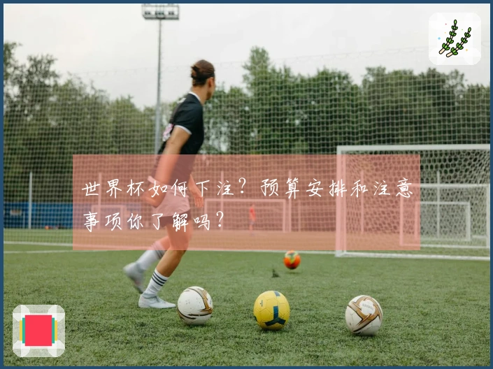 世界杯如何下注？预算安排和注意事项你了解吗？