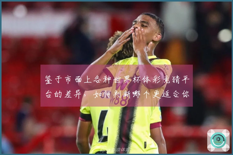 鉴于市面上各种世界杯体彩竞猜平台的差异，如何判断哪个更适合你的需求？