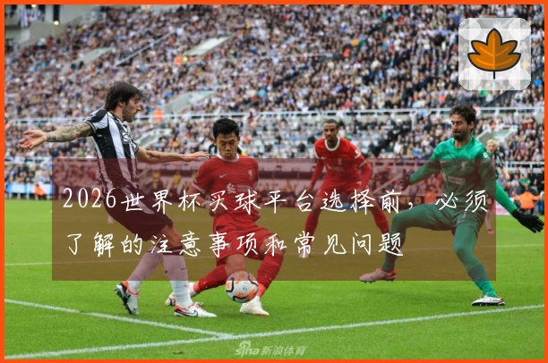 2026世界杯买球平台选择前，必须了解的注意事项和常见问题