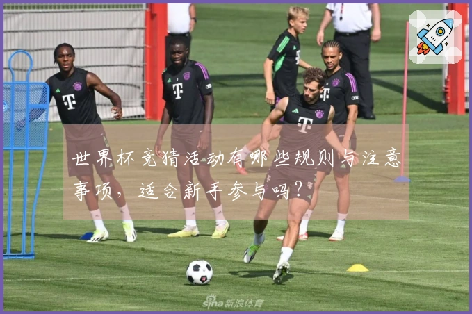 世界杯竞猜活动有哪些规则与注意事项，适合新手参与吗？