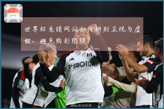 世界杯竞猜网站如何辨别正规与虚假，避免购彩陷阱？