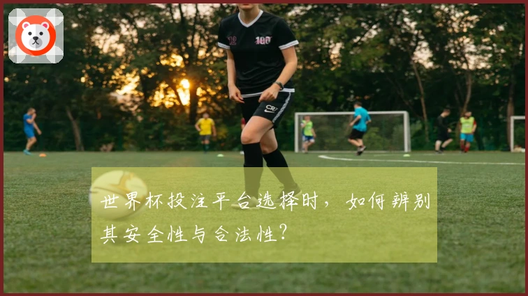 世界杯投注平台选择时，如何辨别其安全性与合法性？