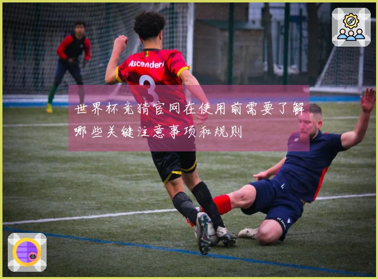 世界杯竞猜官网在使用前需要了解哪些关键注意事项和规则