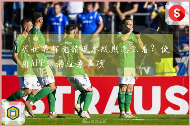 买世界杯竞猜返水规则怎么看？使用APP时的注意事项