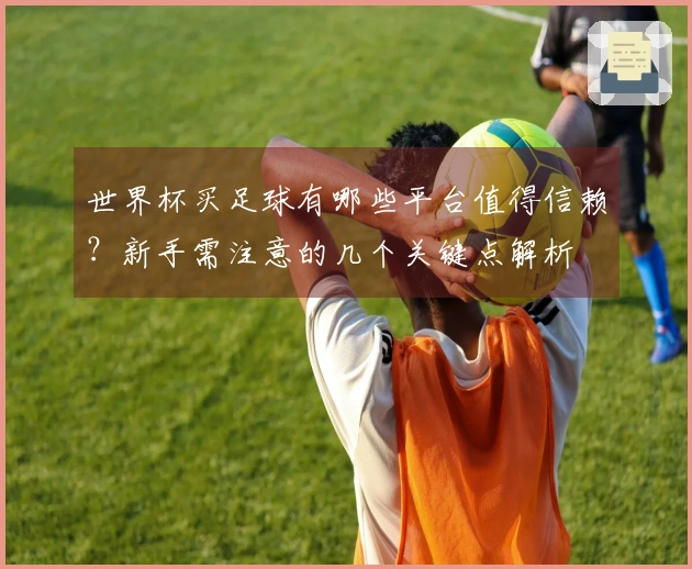 世界杯买足球有哪些平台值得信赖？新手需注意的几个关键点解析