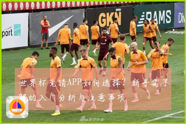 世界杯竞猜APP如何选择？新手需了解的入门分析与注意事项