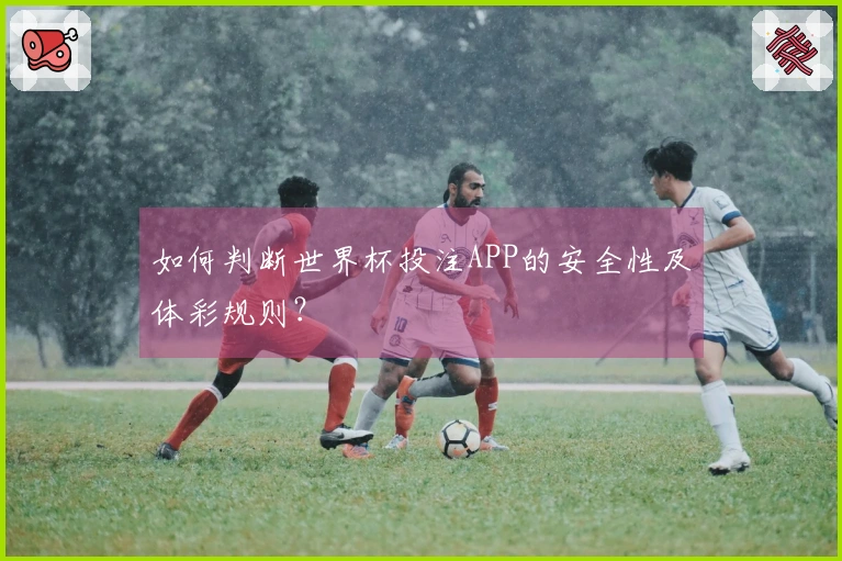 如何判断世界杯投注APP的安全性及体彩规则？