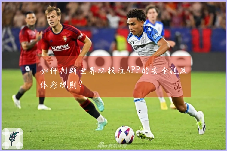 如何判断世界杯投注APP的安全性及体彩规则？