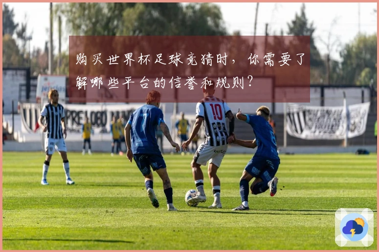 购买世界杯足球竞猜时，你需要了解哪些平台的信誉和规则？