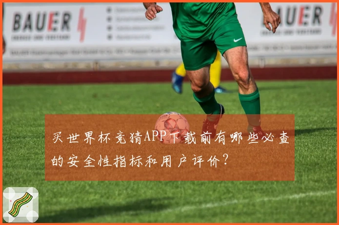 买世界杯竞猜APP下载前有哪些必查的安全性指标和用户评价？