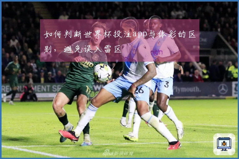 如何判断世界杯投注app与体彩的区别，避免误入雷区