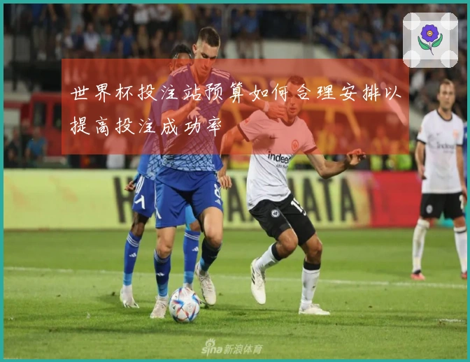 世界杯投注站预算如何合理安排以提高投注成功率