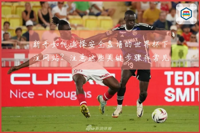 新手如何选择安全靠谱的世界杯下注网站？注意这些关键步骤和常见陷阱