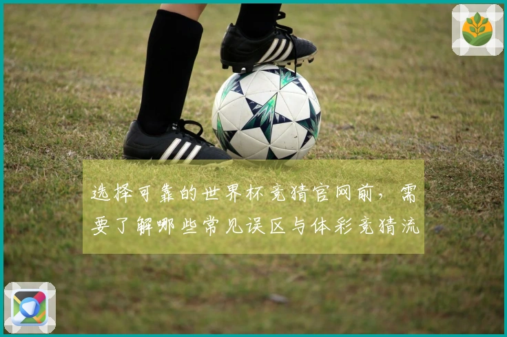 选择可靠的世界杯竞猜官网前，需要了解哪些常见误区与体彩竞猜流程？