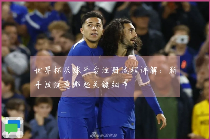世界杯买球平台注册流程详解，新手该注意哪些关键细节