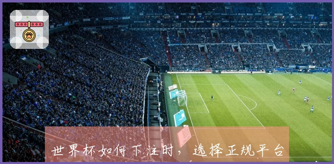 世界杯如何下注时，选择正规平台有哪些安全合规的注意事项？