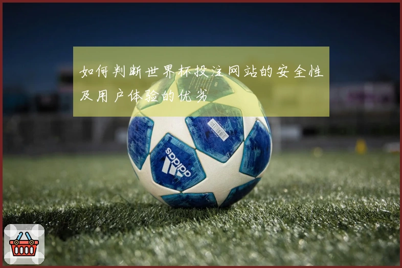 如何判断世界杯投注网站的安全性及用户体验的优劣