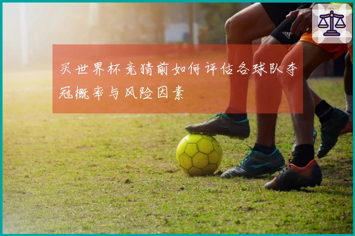 买世界杯竞猜前如何评估各球队夺冠概率与风险因素