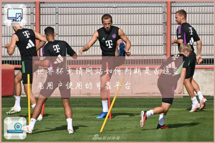 世界杯竞猜网站如何判断是否适合老用户使用的可靠平台