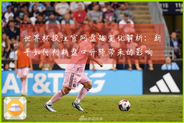 世界杯投注官网盘路变化解析：新手如何判断盘口升降带来的影响