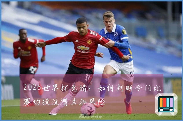 2026世界杯竞猜，如何判断冷门比赛的投注潜力和风险