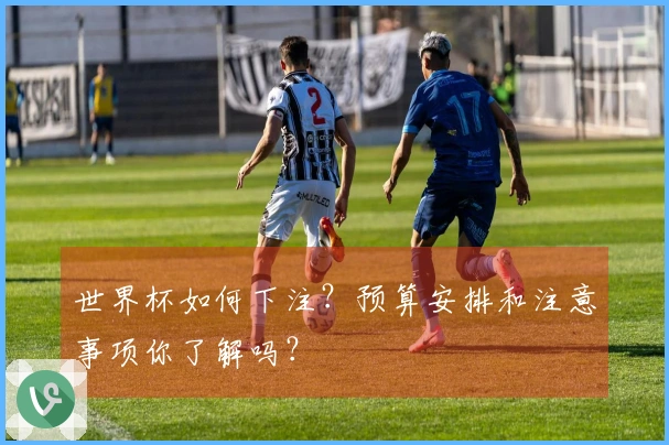 世界杯如何下注？预算安排和注意事项你了解吗？