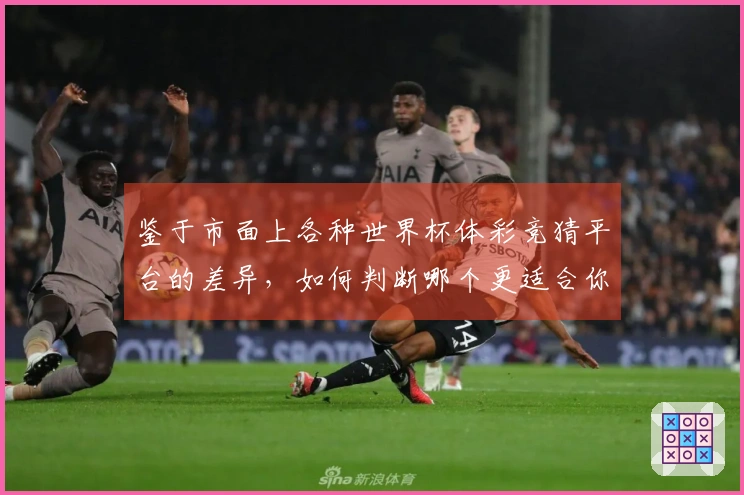 鉴于市面上各种世界杯体彩竞猜平台的差异，如何判断哪个更适合你的需求？