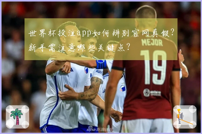 世界杯投注app如何辨别官网真假？新手需注意哪些关键点？