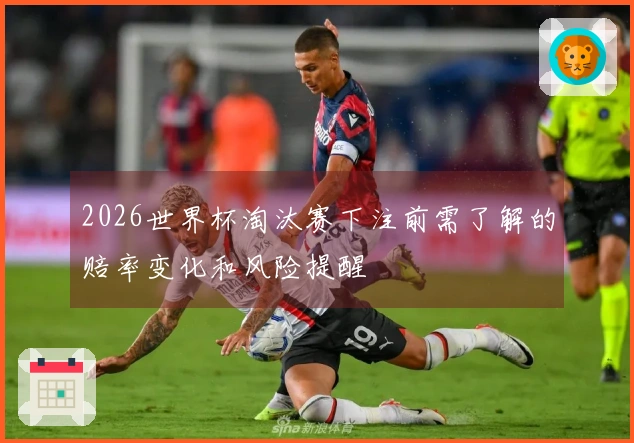 2026世界杯淘汰赛下注前需了解的赔率变化和风险提醒