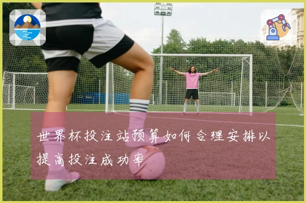 世界杯投注站预算如何合理安排以提高投注成功率