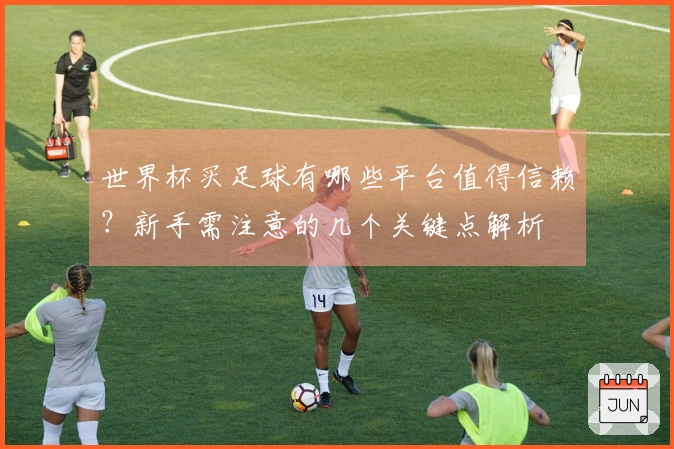 世界杯买足球有哪些平台值得信赖？新手需注意的几个关键点解析