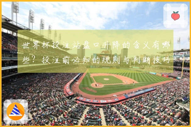 世界杯投注站盘口升降的含义有哪些？投注前必知的规则与判断技巧