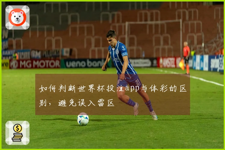 如何判断世界杯投注app与体彩的区别，避免误入雷区